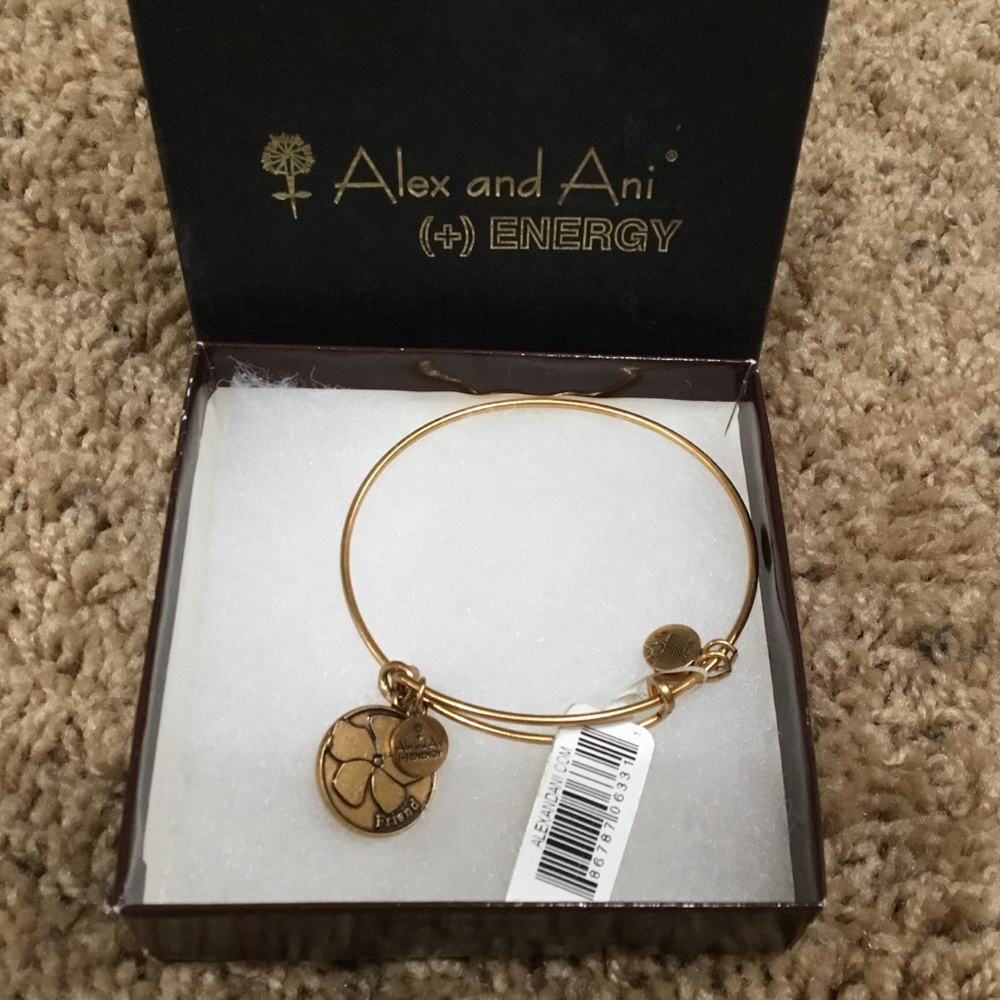 Alex and Ani bangle bracelet w friend charm NWT